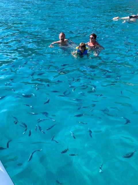 Cruise Visit of the Calanques of Piana Swimming by Speedboat - Itinerary Details