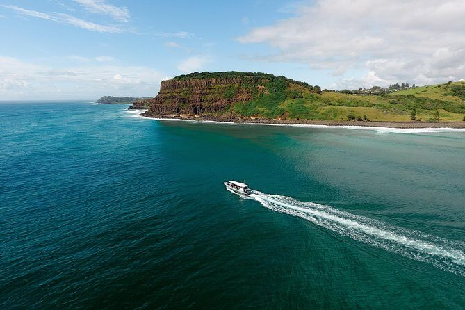 Cruise with Dolphins in Byron Bay - Who Will Love This Tour?