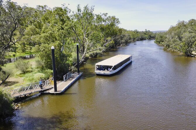 Cruising the Swan Tour - An In-Depth Look at the "Cruising the Swan" Tour  