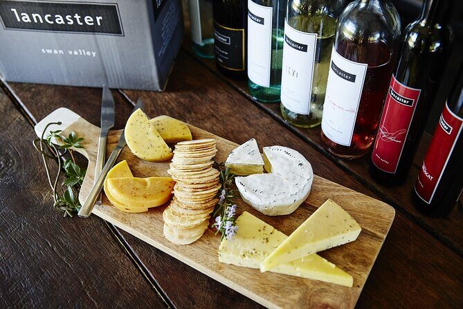 Cruising the Swan Tour - Practical Tips for Your Day  