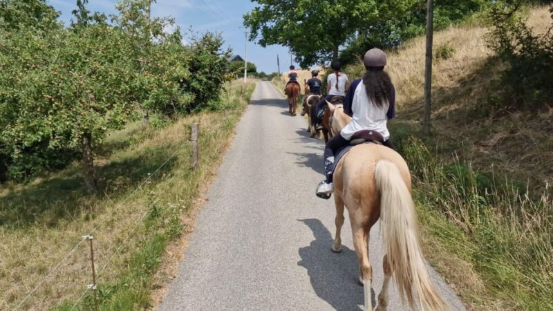 Cruseilles: Horseback Riding in the Countryside - Tour Highlights