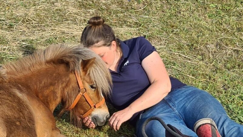 Cruseilles: Horseback Riding in the Countryside - Customer Feedback