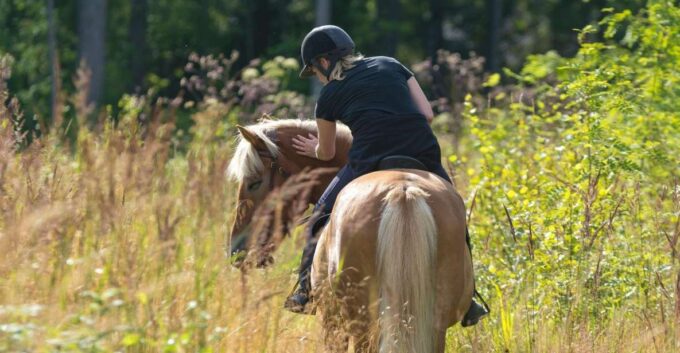 Cruseilles: Horseback Riding in the Countryside - Exploring the Picturesque Trails