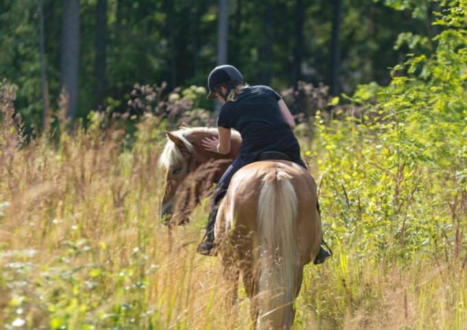 Cruseilles: Horseback Riding in the Countryside - Learning About Local Legends