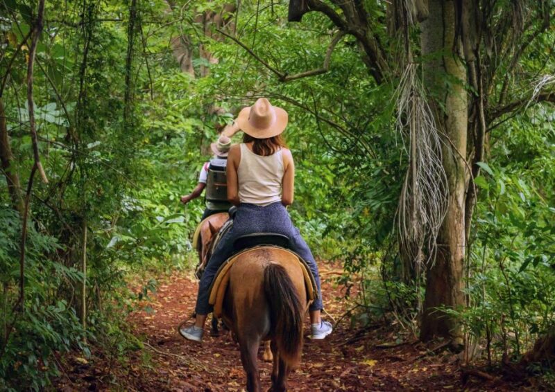 Cruseilles: Horseback Riding in the Countryside - Good To Know