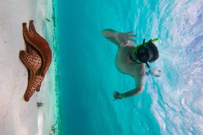 Crystal blue cozumel awaits you - Key Points