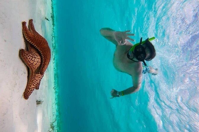 Crystal blue cozumel awaits you - Authenticity and Reviews