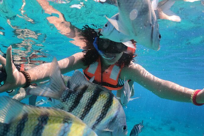 Crystal Boat Tour with Snorkeling and Drinks in Cozumel - Who Should Consider This Tour?