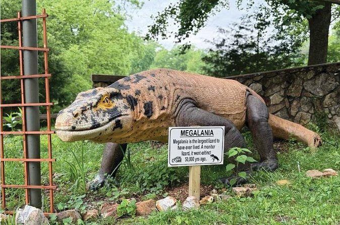 Crystal Cave Dino Trail - What to Expect at the Crystal Cave Dino Trail