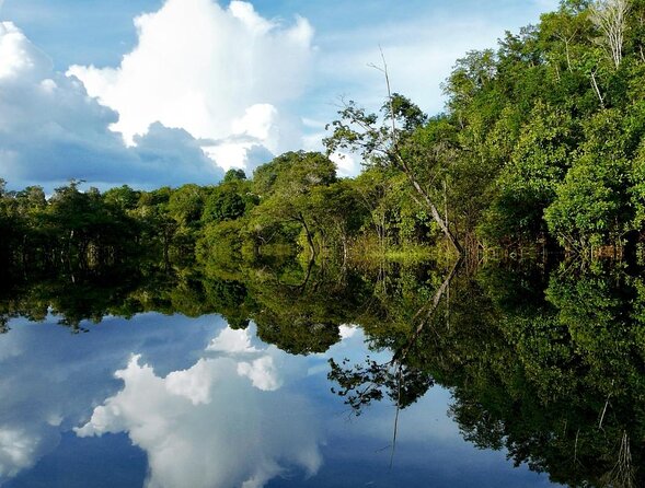 Crystal Clear Adventure: Floating Through the Sucuri River - Good To Know