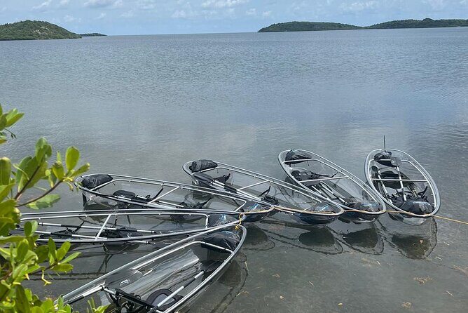 Crystal Kayak & Snorkel Eco Tour (with transfer) - A Close Look at the Tour Itself