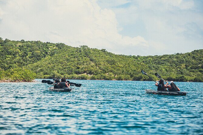 Crystal Kayak & Snorkel Eco Tour (with transfer) - The Sum Up