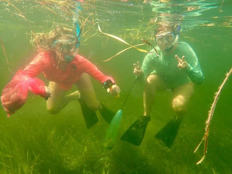 Crystal River: All Inclusive Premier Scalloping Tour - The Sum Up