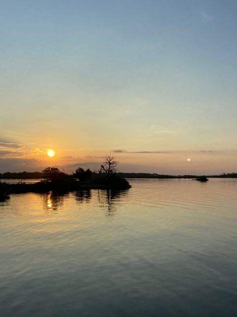 Crystal River: Backwater Adventure on an Airboat - Gliding Through the Backwaters