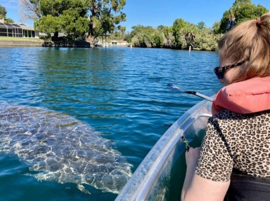 Crystal River: Clear Kayak Manatee Ecotour - Group Size and Cancellation Policy