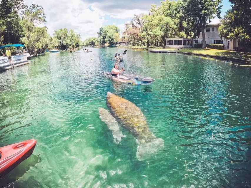 Crystal River: Clear Kayak Manatee Ecotour - Local Expert Guides