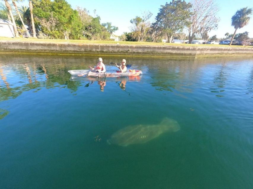 Crystal River: Clear Kayak Manatee Ecotour - Meeting Point and Parking