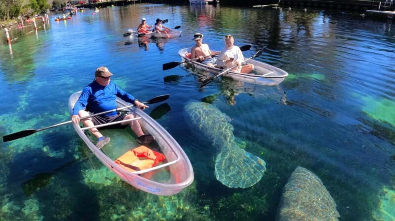 Crystal River: Clear Kayak Sunset & Night Glow Tour - The Practical Side: Logistics and Value