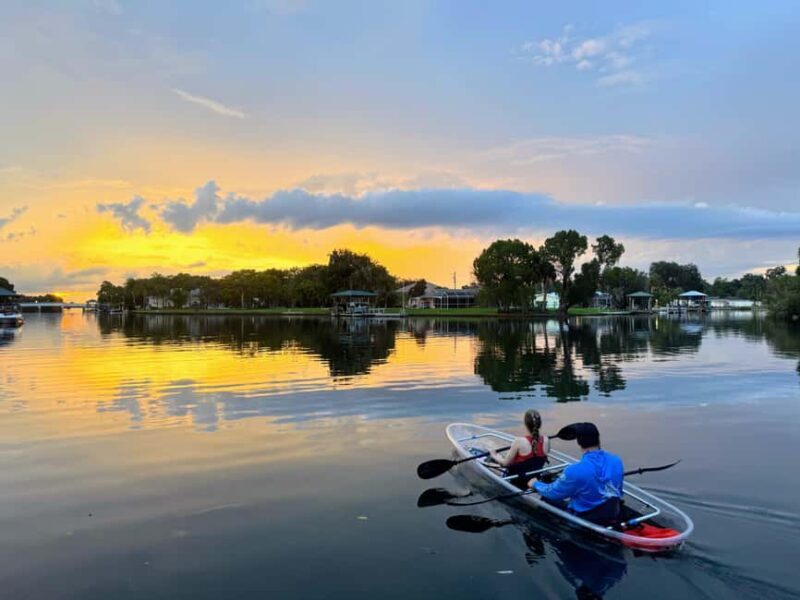 Crystal River: Clear Kayak Sunset & Night Glow Tour - What Past Participants Say