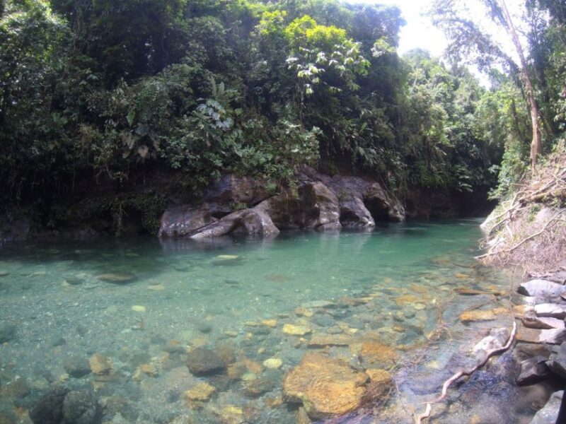 Crystal River: Crystalline Waters, Stunning Landscapes - Exploring Nearby Attractions