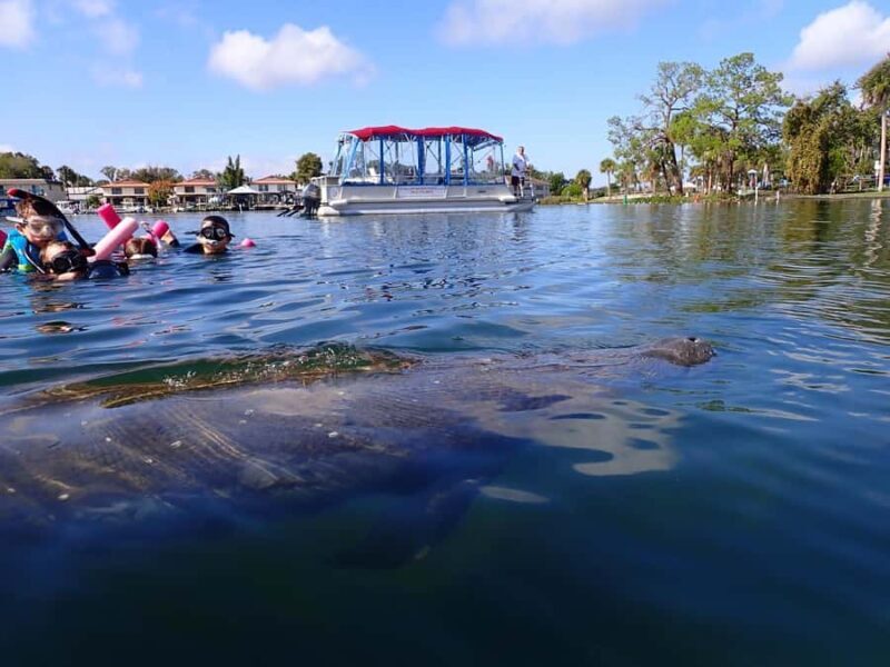 Crystal River: Guided Manatee Tour Heated Boat Free Photos - An In-Depth Look at the Experience