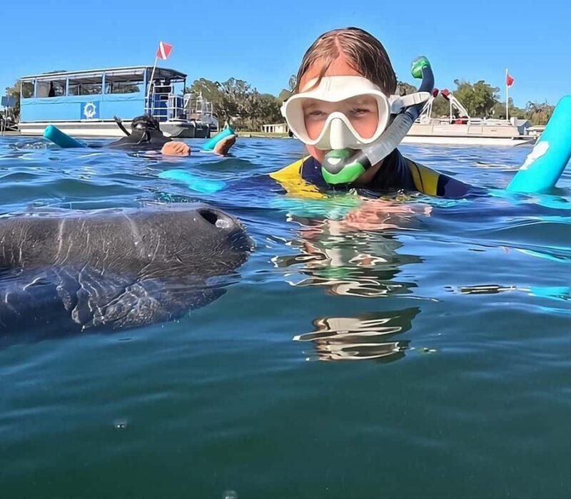 Crystal River: Guided Manatee Tour Heated Boat Free Photos - Pricing and Value
