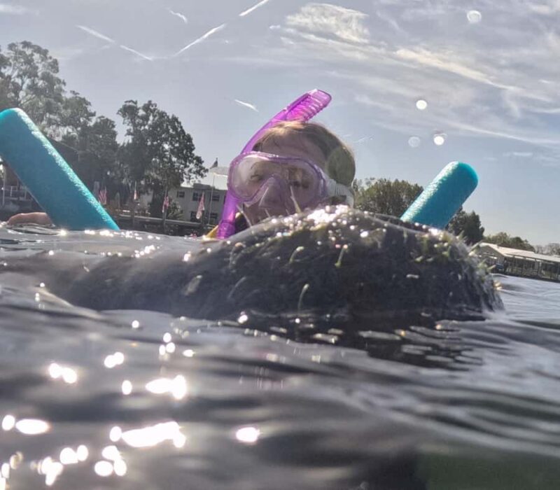 Crystal River: Guided Manatee Tour Heated Boat Free Photos - Who Should Consider This Tour?