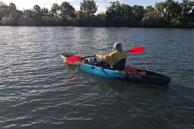 Crystal River Kayak RentalThree Sisters Springs & Manatee Refuge - Authenticity and Travel Experience