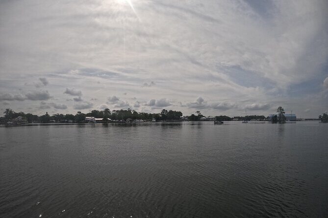 Crystal River: Kings Bay Eco/Sunset Tour - Key Points