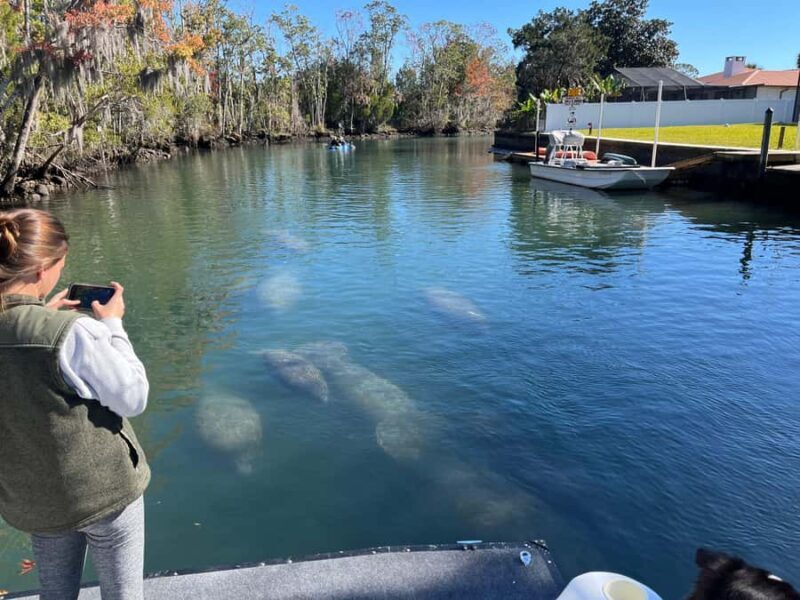 Crystal River: Manatee Eco-Tour Boat Ride - Key Points