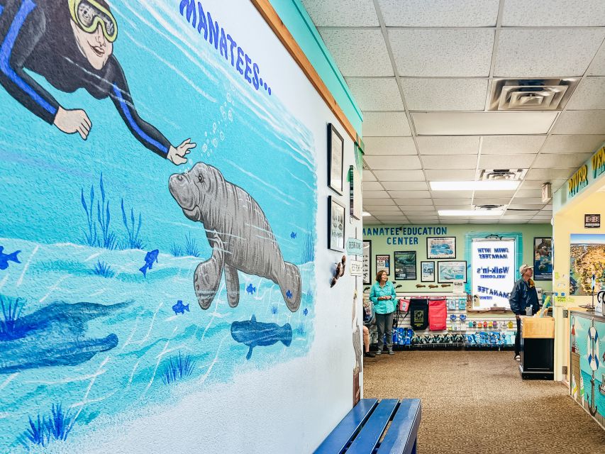 Crystal River: Manatee Snorkel Tour W/ In-Water Photographer - Key Points