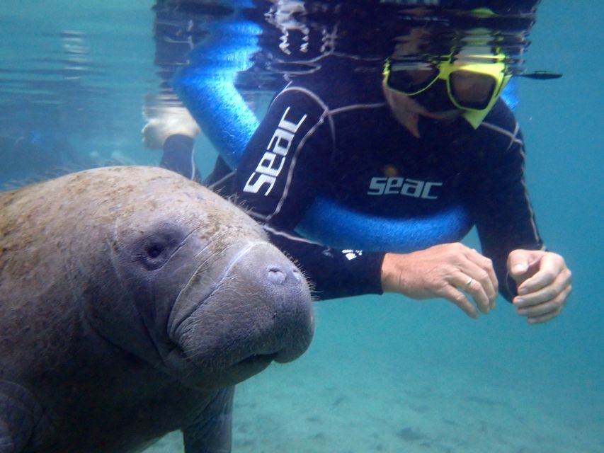 Crystal River: Manatee Snorkel Tour W/ In-Water Photographer - Includes in the Package