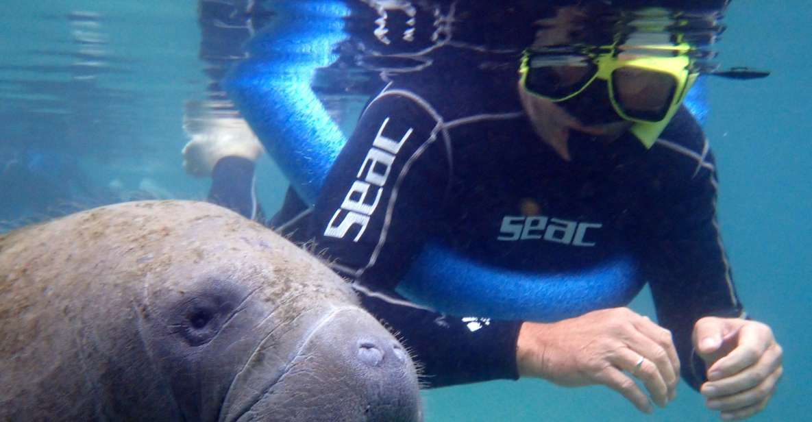 Crystal River: Manatee Snorkel Tour W/ In-Water Photographer - Photographer-Assisted Snorkeling