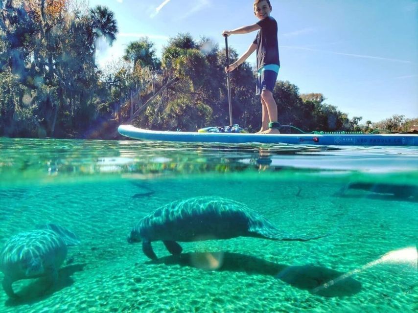 Crystal River: Paddle Board Rental - Paddle Board Rental Rates