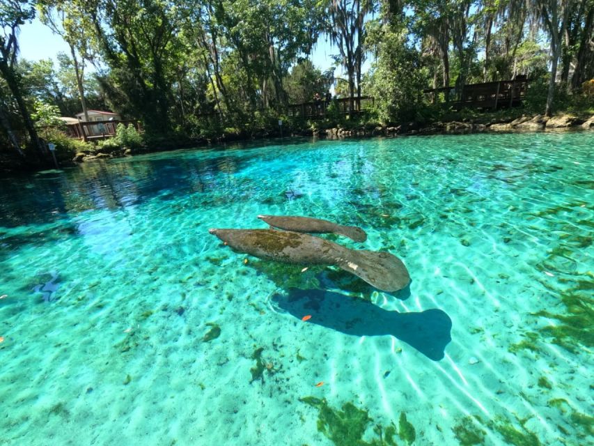 Crystal River: Paddle Board Rental - Activity Duration and Suitability