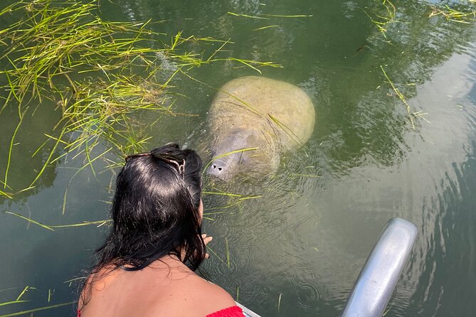 Crystal River: Private Manatee Boat Tour - Good To Know
