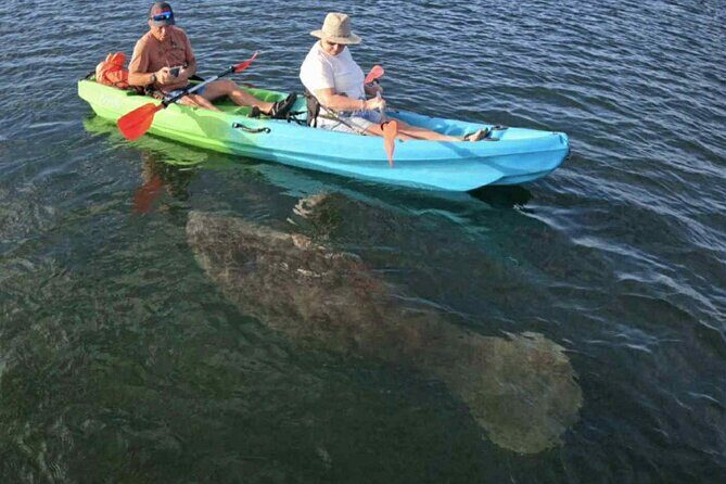 Crystal River Sunrise Manatee Clear Kayak Tour - An In-Depth Look at the Tour Experience