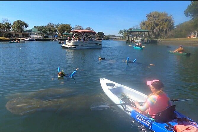 Crystal River Sunrise Manatee Clear Kayak Tour - Final Thoughts