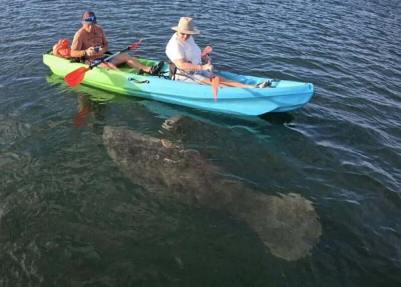 Crystal River: Sunset Kayak with Manatee Viewing Experience - The Experience: What It’s Really Like