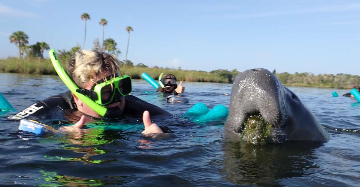 Crystal River: VIP Manatee Swim W/ In-Water Photographer - Swim With Manatees in Kings Bay