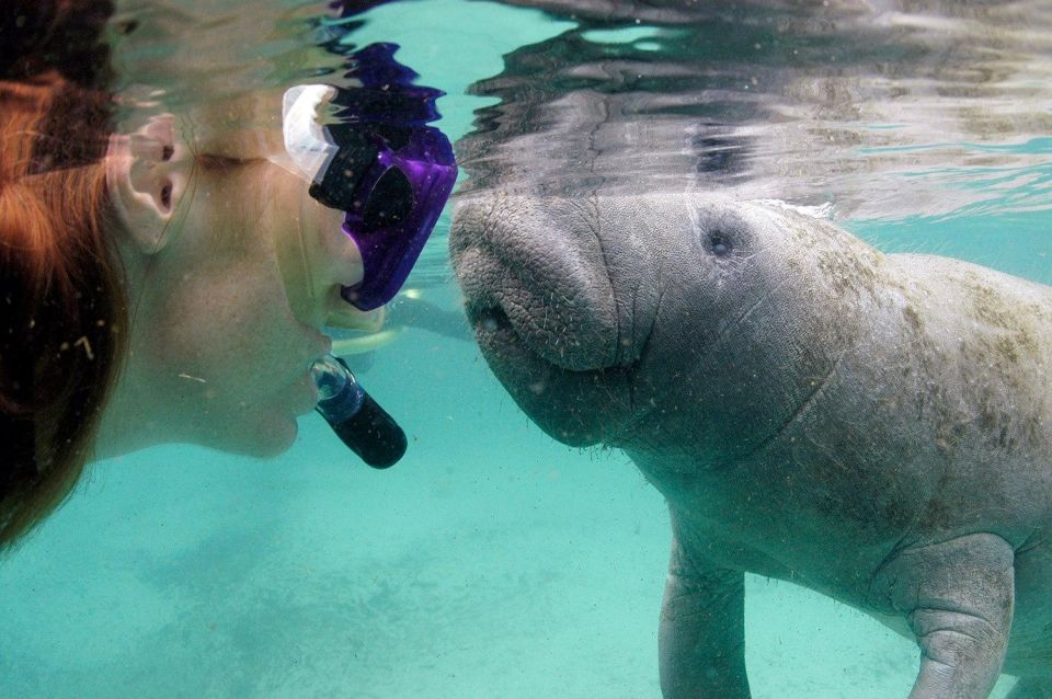 Crystal River: VIP Manatee Swim W/ In-Water Photographer - Included Gear and Photography Packages