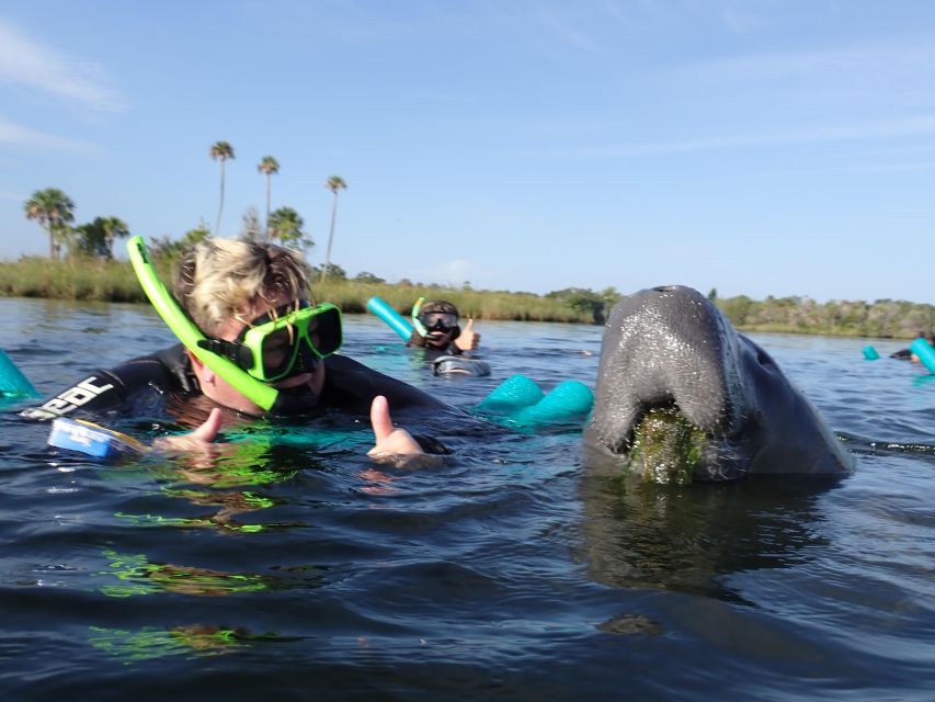 Crystal River: VIP Manatee Swim W/ In-Water Photographer - Booking and Availability Information