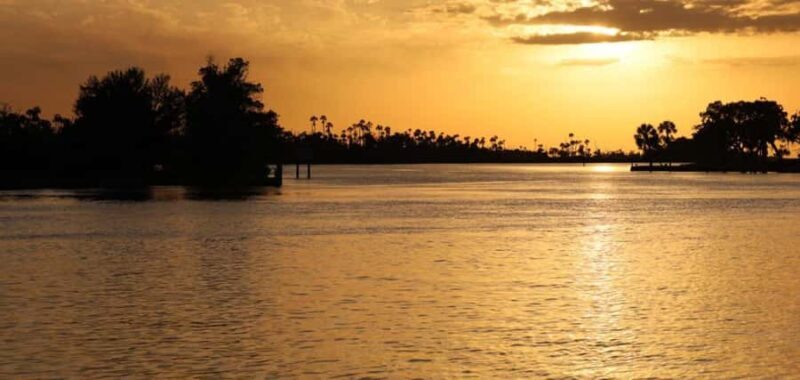 Crystal River: Wildlife Boat Tour with Naturalist Guide - A Balanced Look at the Experience