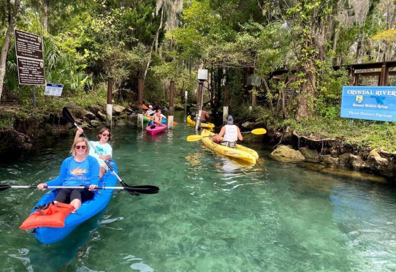 Crystal River:Three Sisters Springs Guided Kayak & Swim Tour - Authentic Encounters and Authentic Guides