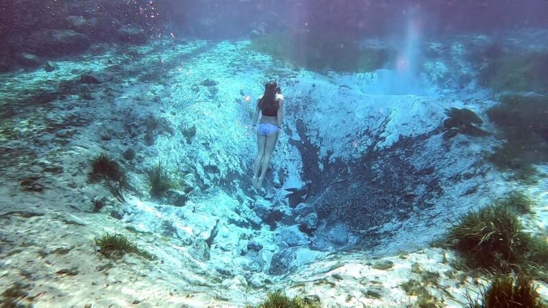 Crystal River:Three Sisters Springs Guided Kayak & Swim Tour - Is This Tour Worth It?