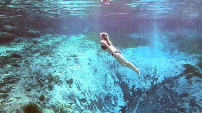 Crystal River:Three Sisters Springs Guided Kayak & Swim Tour - Who Would Love This Tour?