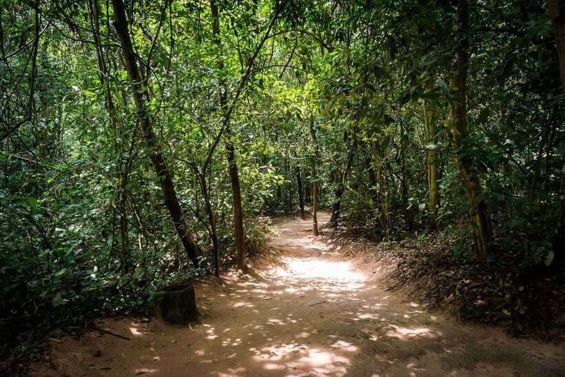 Cu Chi Tunnels and Mekong Delta 1 Day Tour With Small Group - Experience the Mekong Delta