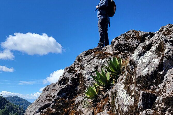 Cuajimoloyas Private Hiking Bushwalking Oaxaca Adventure - Overview of the Cuajimoloyas Private Hiking Tour