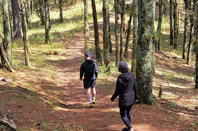 Cuajimoloyas Private Hiking Bushwalking Oaxaca Adventure - Who Should Consider This Tour?