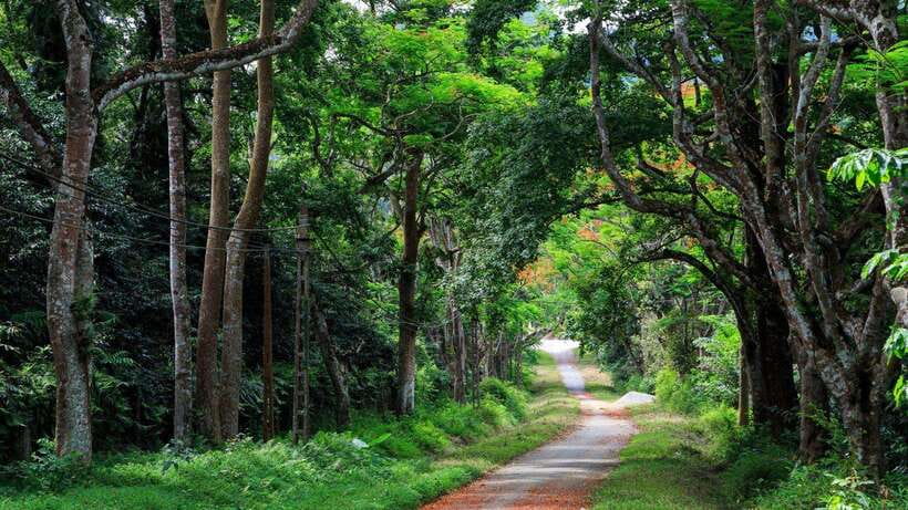 Cuc Phuong Day Trip From Hanoi - Important Information